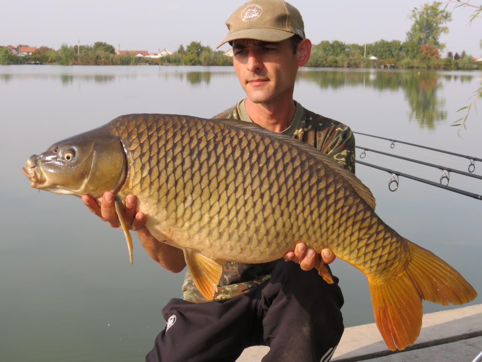 The best pictures of 2013 - 11,030